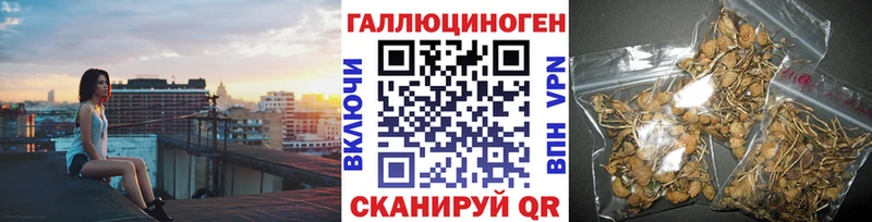 Псилоцибиновые грибы мухоморы  магазин  наркотиков  Орехово-Зуево 