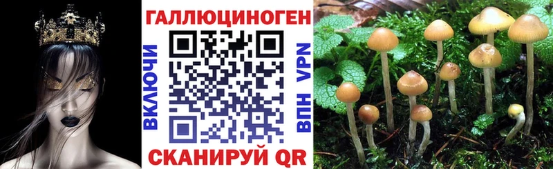 Галлюциногенные грибы Psilocybine cubensis Орехово-Зуево